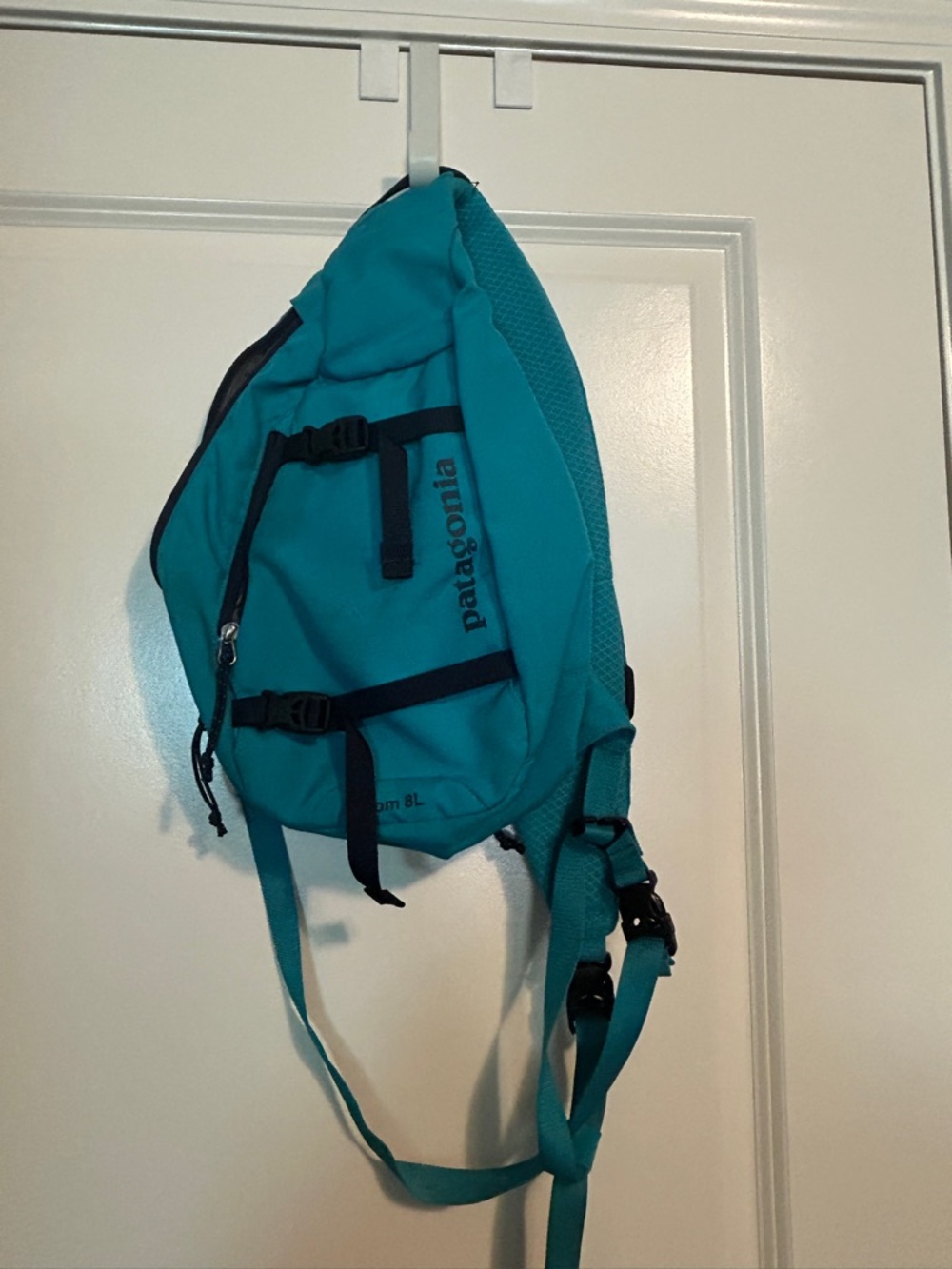 Patagonia Teal Belt Pack Sling Bag